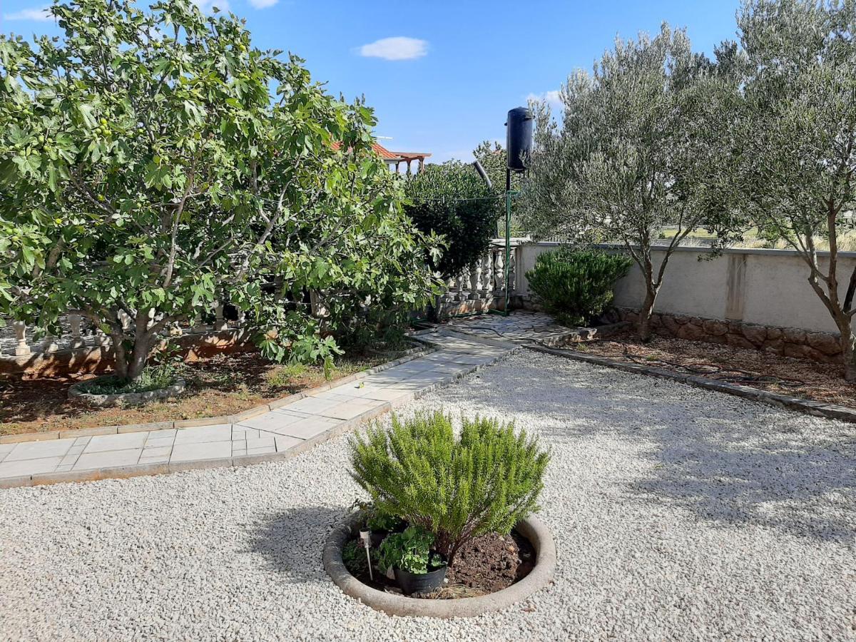 Apartman Pajo Seline Kültér fotó